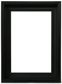 Cadre flottant musée noir - 18x36po