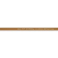 Pitt charcoal pencil medium monochrome black