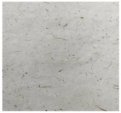 **Fc pap.murier motif soie beige 18.5x25