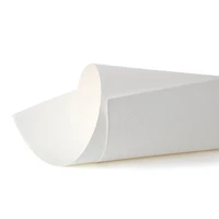 Papier tiepolo - extra blanc