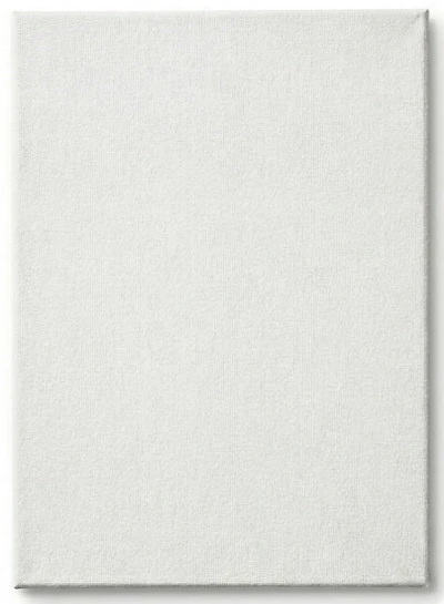 Toile cartonnée - 18 x 24 pouces