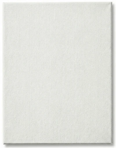 Toile cartonnée - 4 x 5 pouces