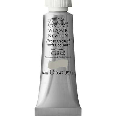 Professional watercolour - 14ml - davy's gray - s1