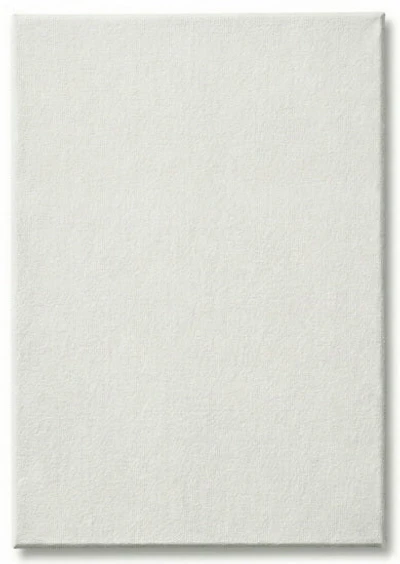 Toile cartonnée - 5 x 7 pouces