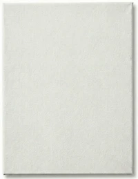 Canvas Board - 7 X 9 INCHES