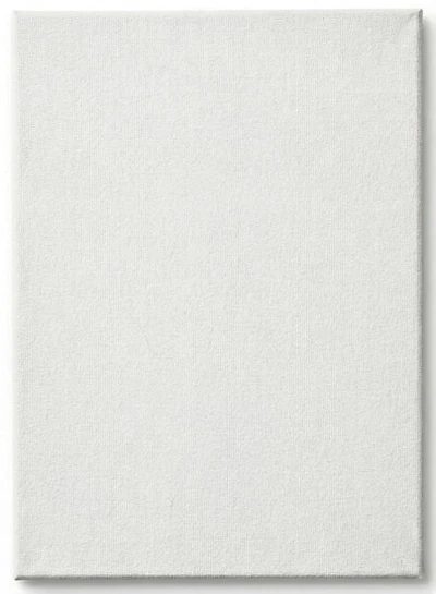 Toile cartonnée - 9 x 12 pouces