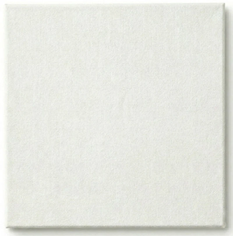 Toile cartonnée - 10 x 10 pouces