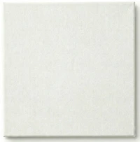 Toile cartonnée - 10 x 10 pouces