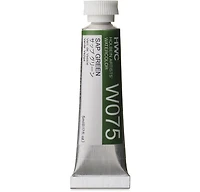 Aquarelle vert de vessie série b - 5ml