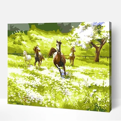 Peinture à numéros - « champ de chevaux »