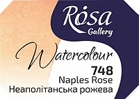 Watercolor fine art quality 2.5 ml - naples pink