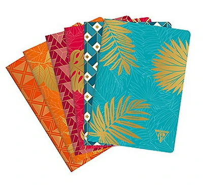 C.fontaine neodeco nb a5 96p asst -