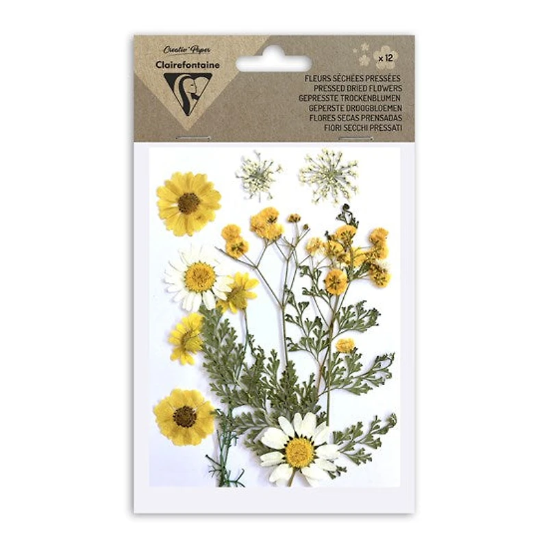 12-Pack Assorted Dried Flowers