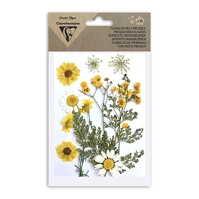 12-Pack Assorted Dried Flowers