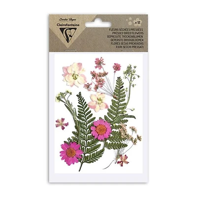 12-Pack Assorted Dried Flowers