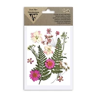 12-Pack Assorted Dried Flowers
