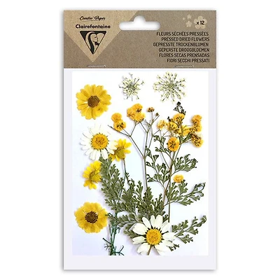 12-Pack Assorted Dried Flowers - Multi-Coloured