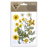 12-Pack Assorted Dried Flowers - Multi-Coloured