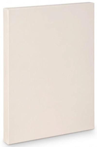 Toile artiste galerie - 16x24po