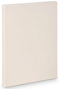 Toile artiste galerie - 16x24po