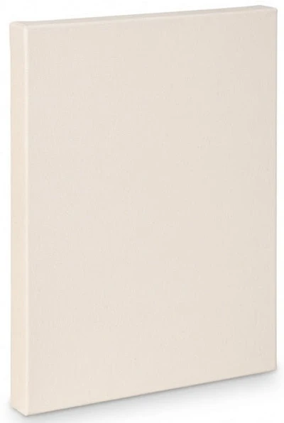 Artist canvas gallery - 32x40"