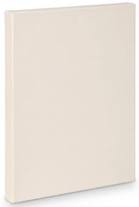 Artist canvas gallery - 32x40"