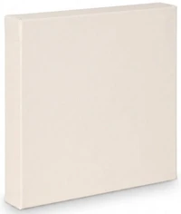 Artist canvas gallery - 60x60"