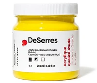 Acrylique étude jaune cadmium moyen imitation - 250ml
