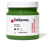 Acrylique étude vert olive - 250ml