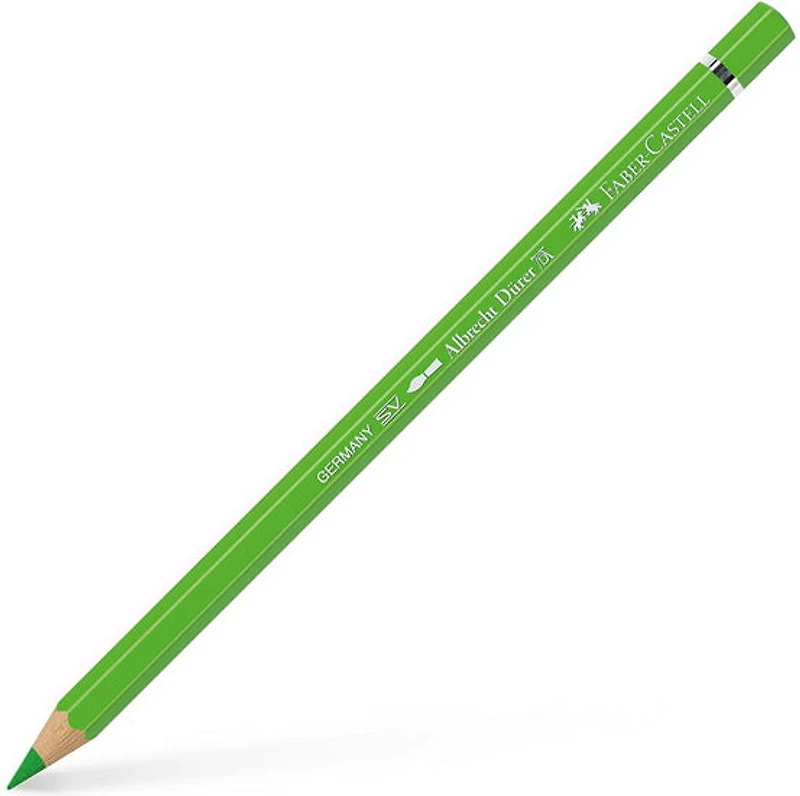 Crayon aquarellable albrecht dürer vert herbe
