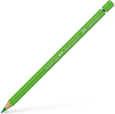Crayon aquarellable albrecht dürer vert herbe