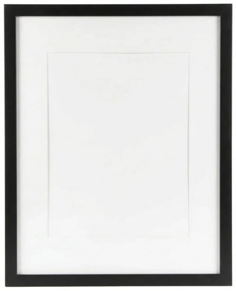 Museum Frame Black - 14x17" mat 11x14"