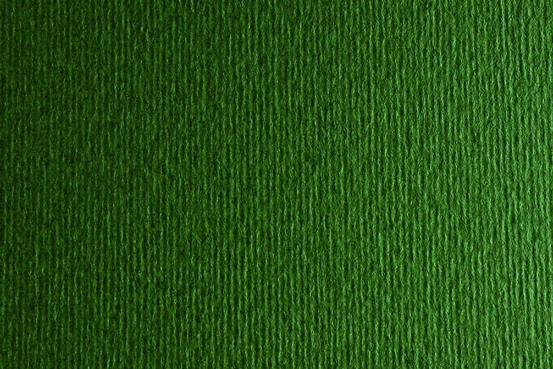 Fabriano Bristol Board - FOREST INCH - 20 X 28 INCHES GRAMPERSQU