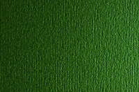 Fabriano Bristol Board - FOREST INCH - 20 X 28 INCHES GRAMPERSQU