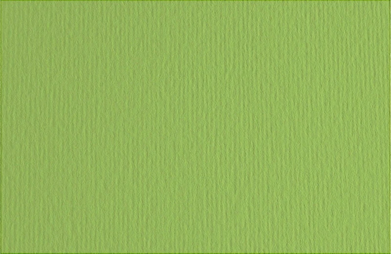 Fabriano Bristol Board - GREEN PEAS INCH - 20 X 28 INCHES GRAMPE