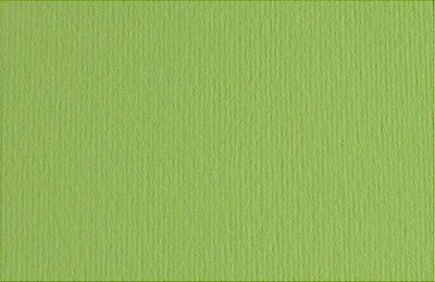 Fabriano Bristol Board - GREEN PEAS INCH - 20 X 28 INCHES GRAMPE