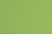 Fabriano Bristol Board - GREEN PEAS INCH - 20 X 28 INCHES GRAMPE