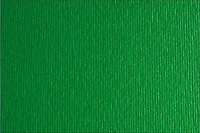 Carton bristol fabriano - vert inch - 20 x 28 pouces grampersquaremeter