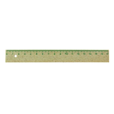 L17 Biofibre Ruler - 17 cm