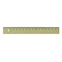 L17 Biofibre Ruler - 17 cm