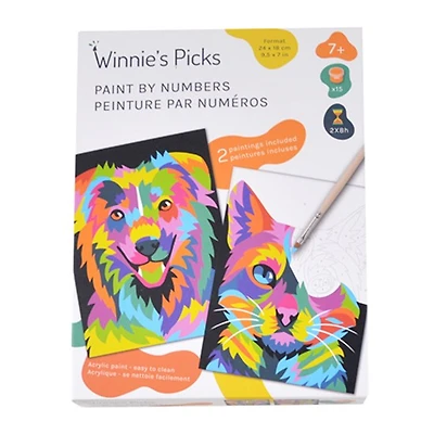 Kit peinture par numéro pour enfant