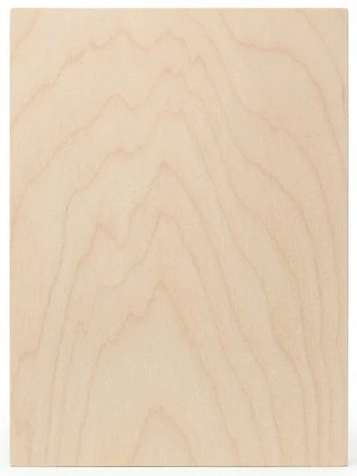 Panneau de bouleau - 12x16po