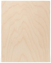 Panneau de bouleau - 16x20po