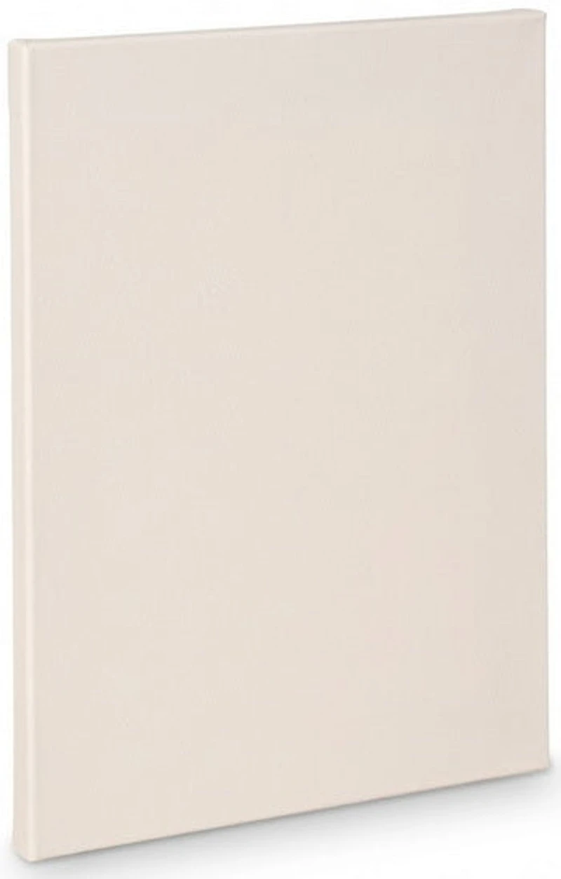 Artist canvas standard