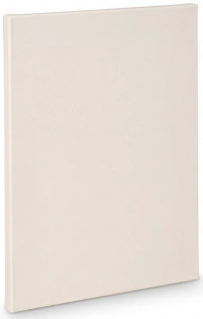 Artist canvas standard