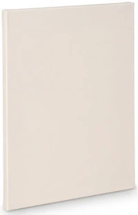 Artist canvas standard