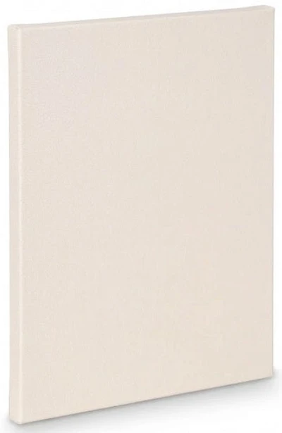 Artist canvas standard