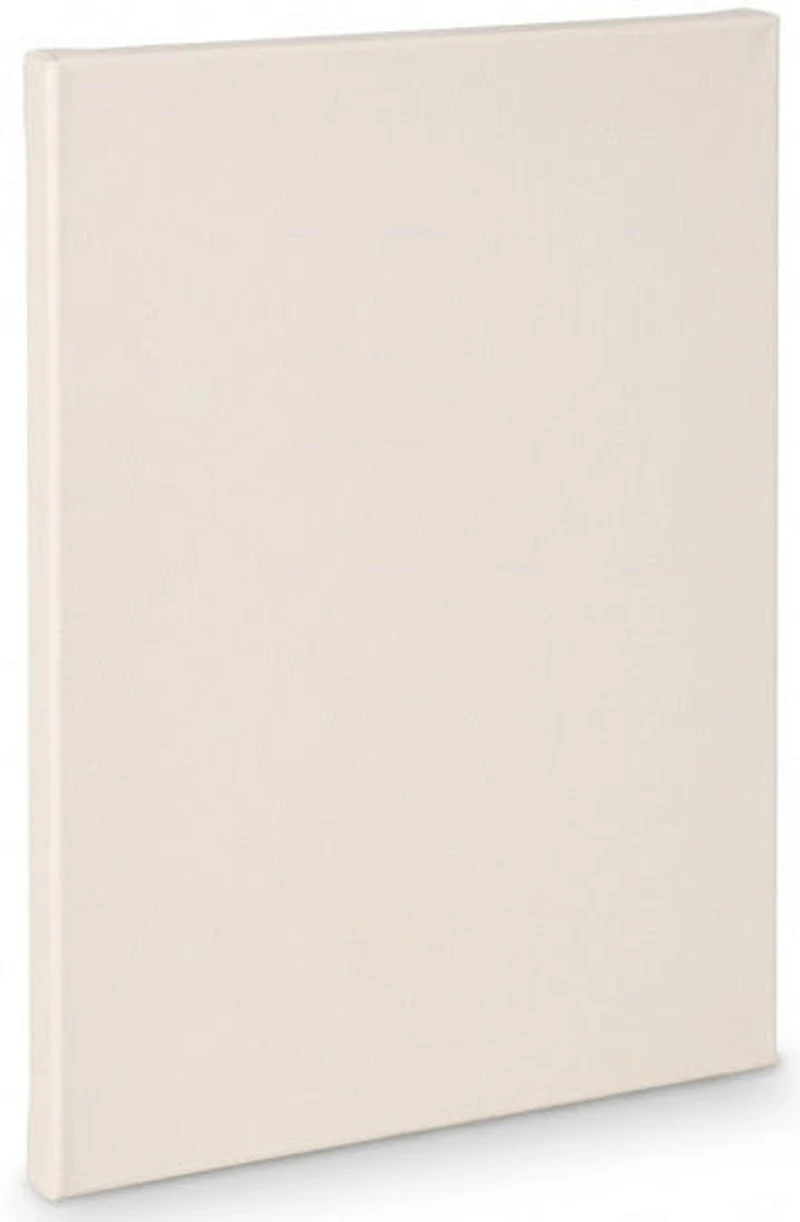 Artist canvas standard - 6x8"