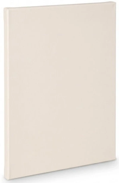 Artist canvas standard - 6x8"