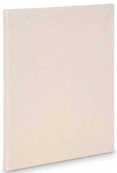 Artist canvas standard - 7x9"